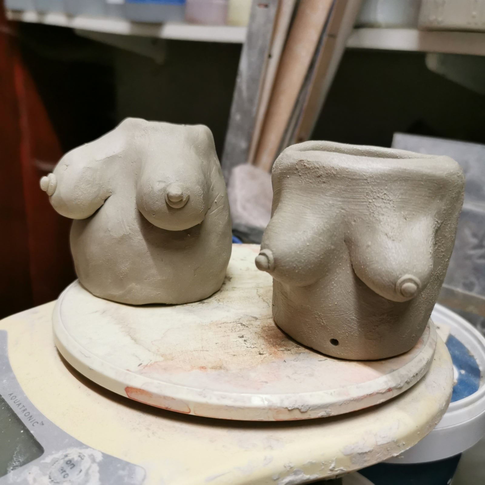 Porcelain Paper Clay Sculpture – Cambridge Ceramics